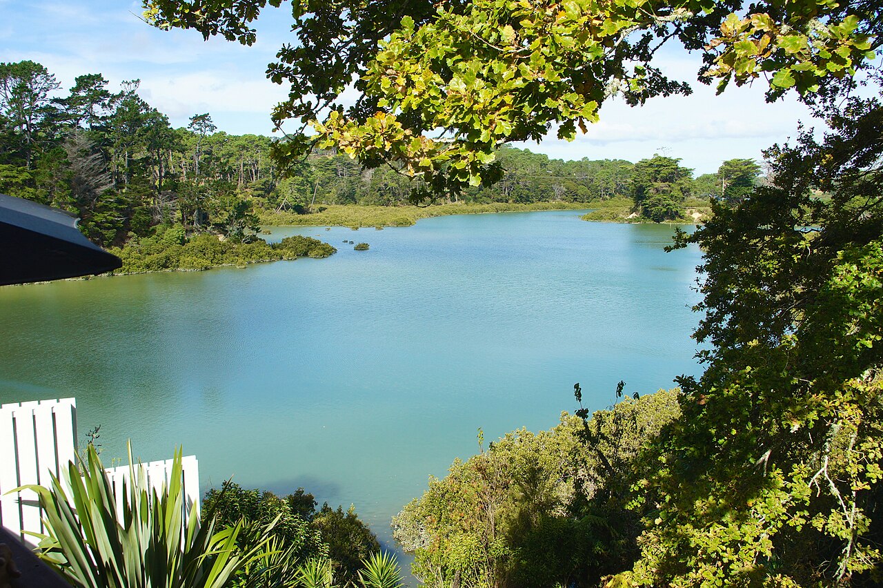 Guided Riverhead Tavern Kayak Adventure in Auckland