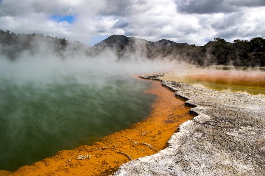 Rotorua Geothermal Wonders Day Tour