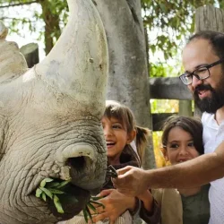 Africam Safari Tour Adventure in Puebla