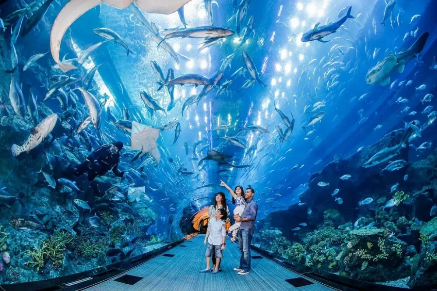 Burj Khalifa 124th &125th Floor & Dubai Aquarium Combo Tour