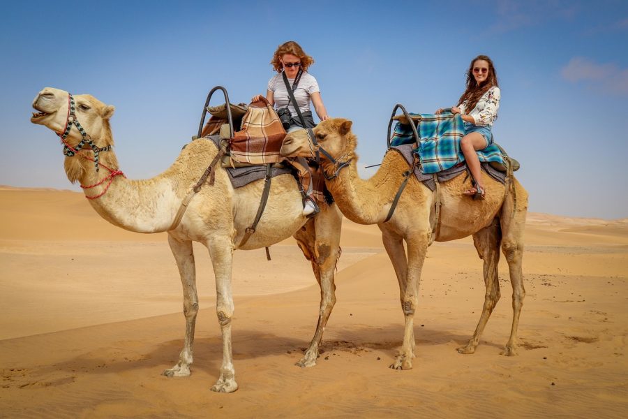 Dubai Desert Safari with BBQ Dinner and Camel Ride