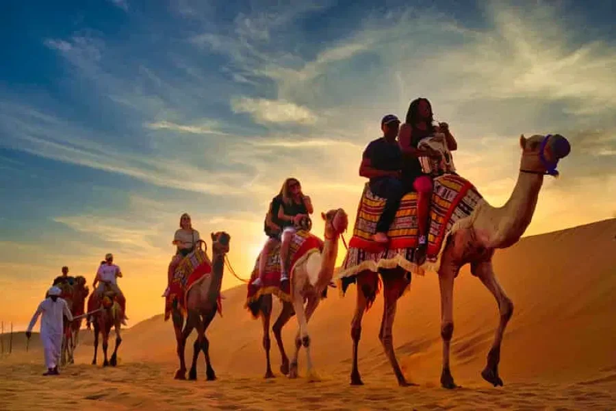 Dubai Frame Tour & Desert Safari with BBQ Dinner