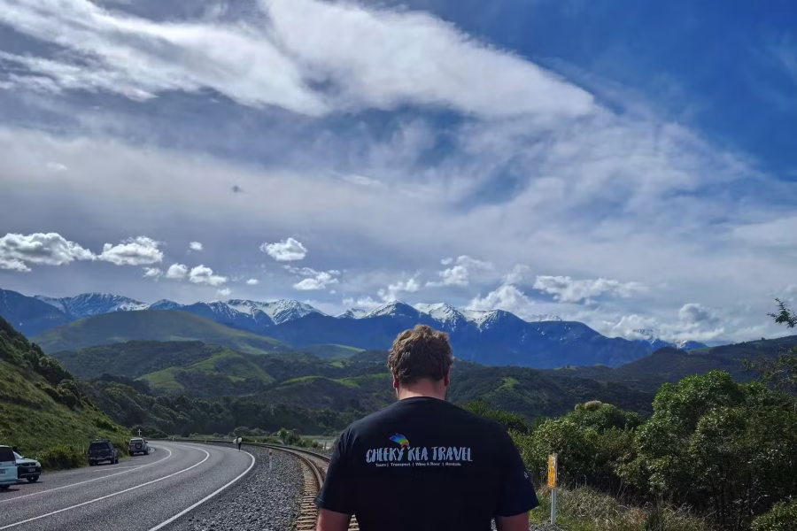 Kaikoura Wildlife & Scenic Small-Group Tour