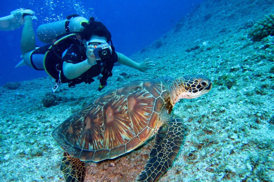 Scuba Diving Tour in Alanya