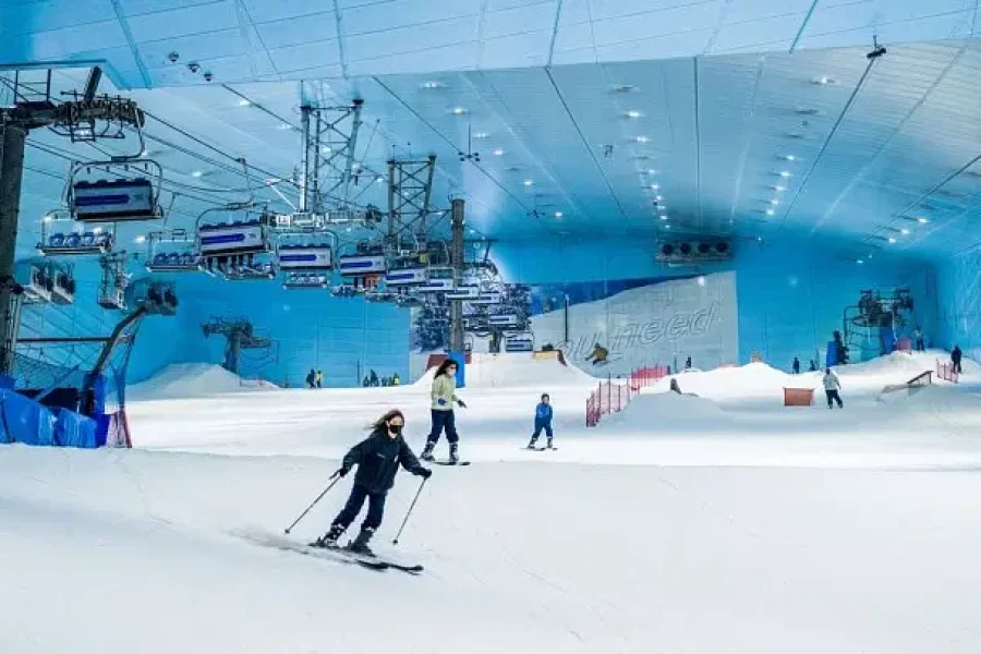 Dubai City Tour with Ski Dubai Snow Plus Pass