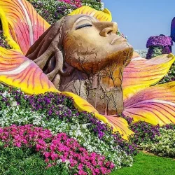 Dubai Miracle Garden Tour with Private Transfers
