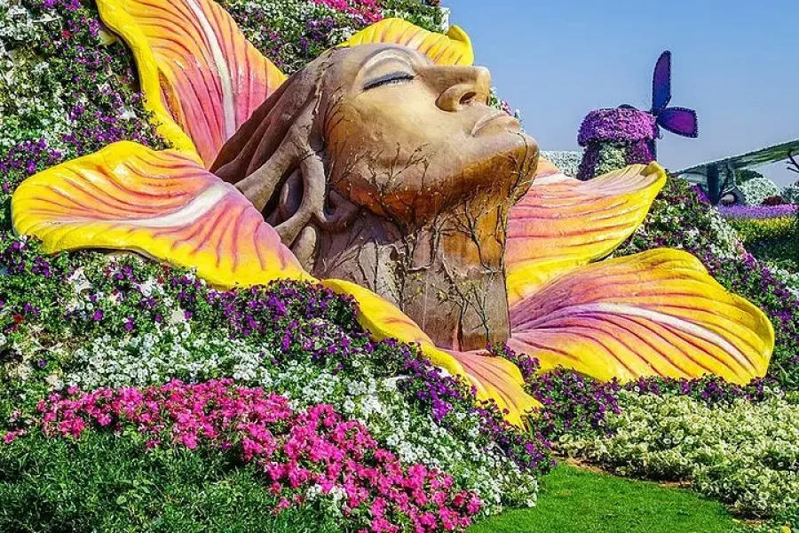 Dubai Miracle Garden Tour with Private Transfers