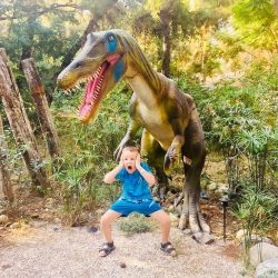 Kemer Dinopark Tour with Hotel Transfer Kemer Dinopark Tour