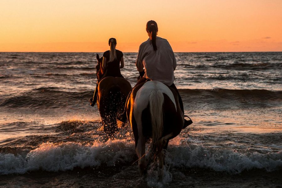 Private Sunset Horse Riding Tour in Alanya Beach