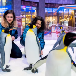 Ski Dubai Snow Plus Pass Ticket Full Day