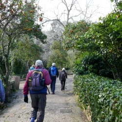 Buskett & Dingli Cliffs Private Walking Tour
