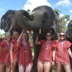 Elephant Care Park Experience in Phuket with Hotel Transfer
