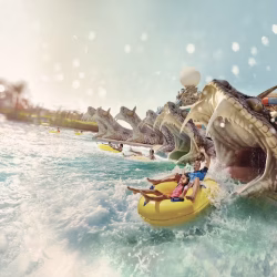 Yas Waterworld Abu Dhabi Entry Ticket & Shuttle Service