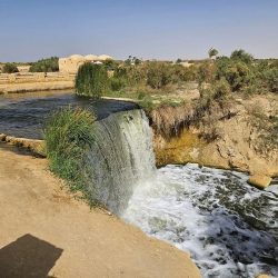 Day Tour to Al Fayoum Oasis from Cairo