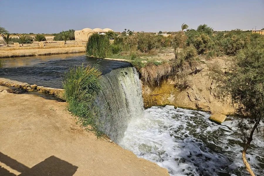 Day Tour to Al Fayoum Oasis from Cairo