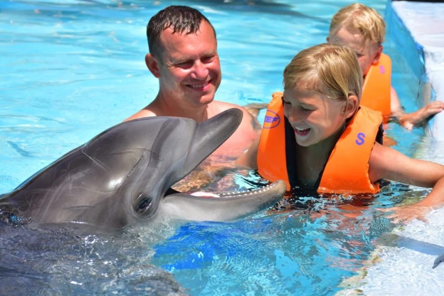 Hurghada Dolphin Show & Swimming Experience