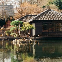 Japan Wisdom Tour to Reconnect Your Senses