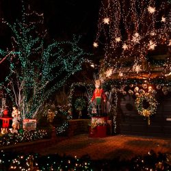 New York Dyker Heights Christmas Lights Tour