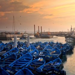 Private Full-Day Essaouira Tour from Marrakech