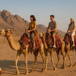 Quad Biking & Camel Safari Tour in Sharm El Sheikh