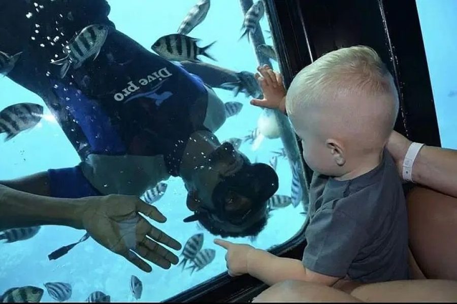 Sharm El Sheikh Semi-Submarine Marine Tour