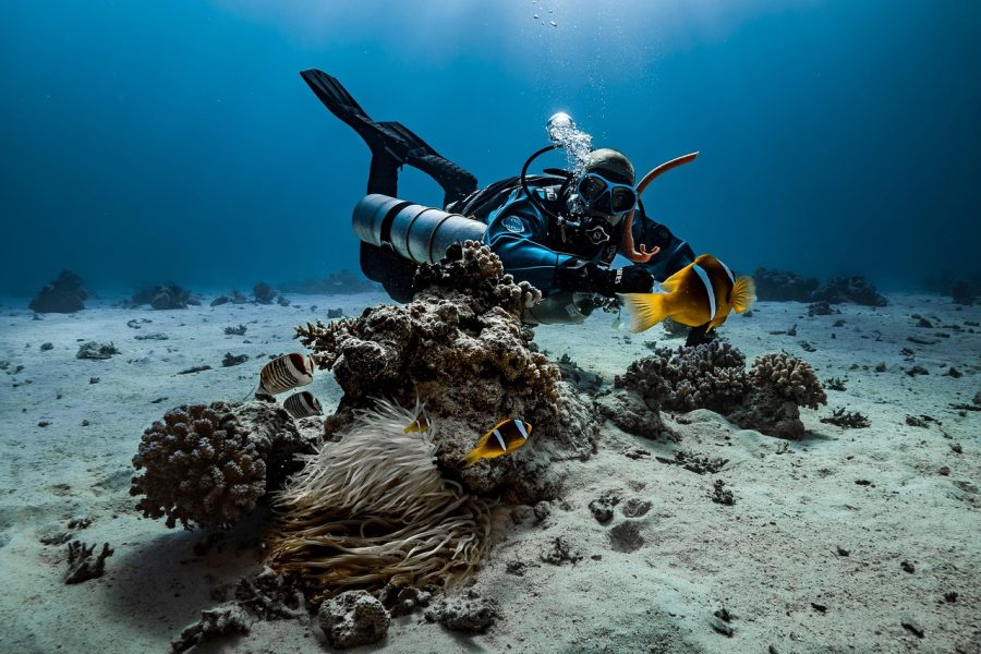 Ultimate Hurghada Scuba Diving Day Trip