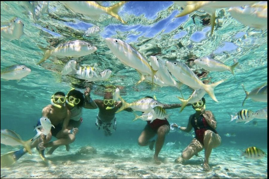 Paradise Island Snorkeling & Scenic Adventure – Dominican Republic