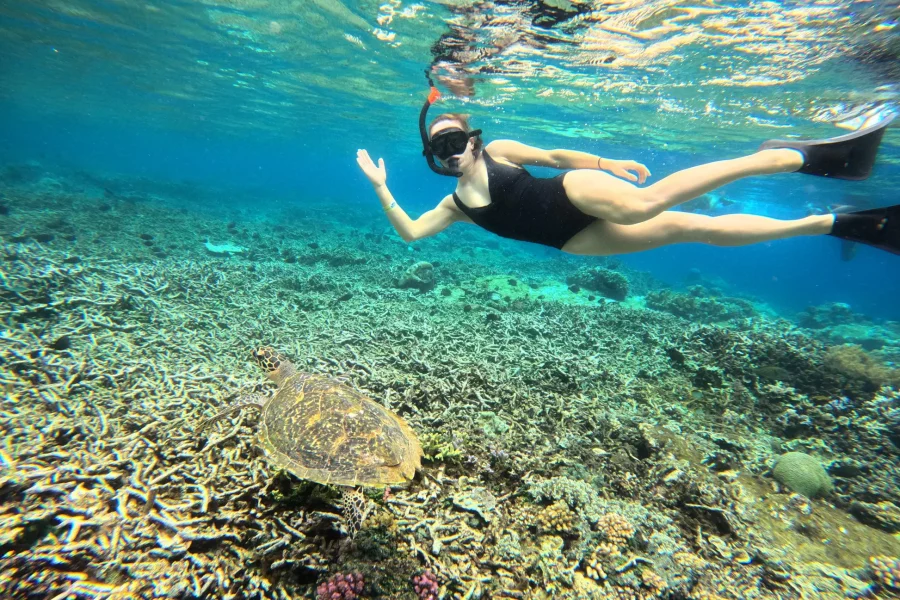 3 Spots Nusa Lembongan & Penida Snorkeling Tour From Bali