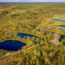 A Magical Lahemaa National Park Day Tour