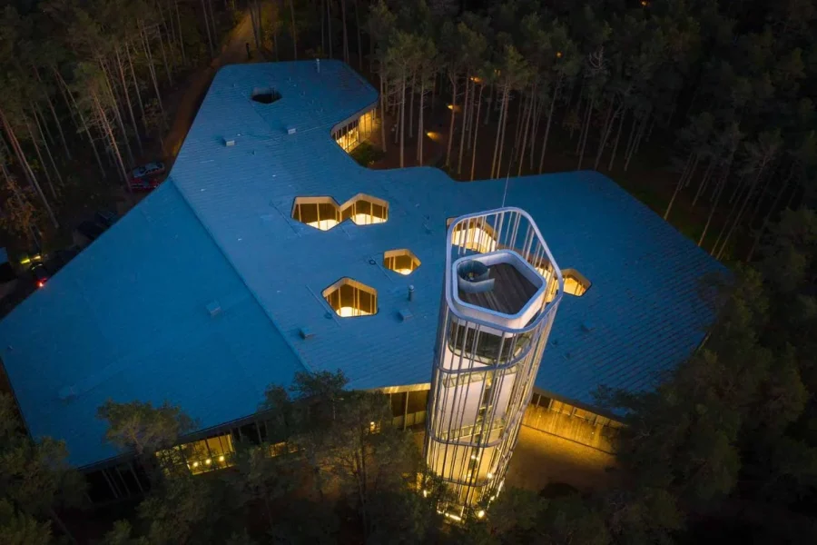 Arvo Pärt Centre & Coastal Spirit Tour