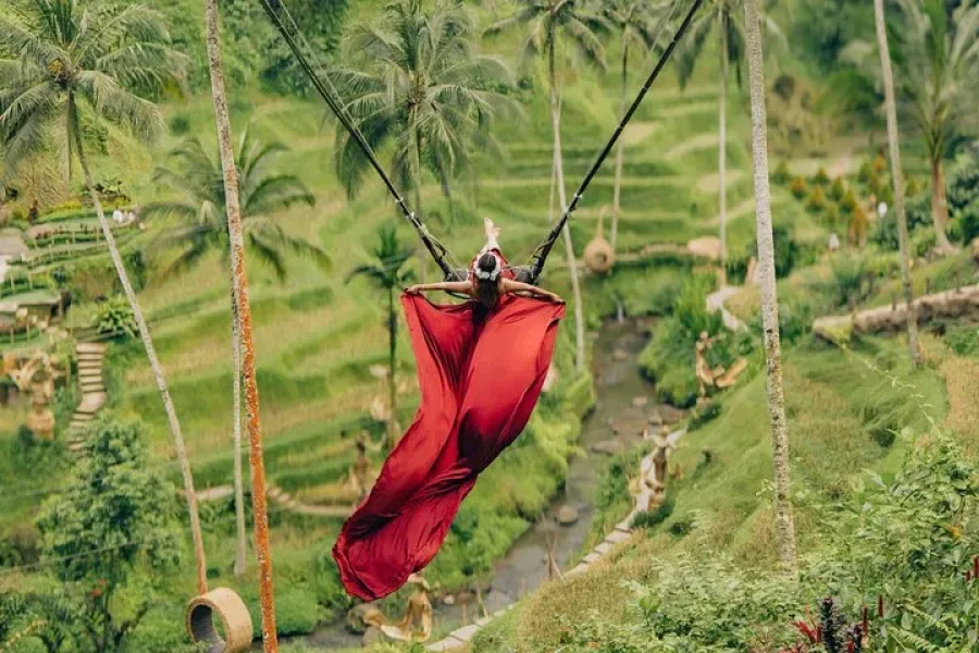 Bali Private Car Full Day With Drone Service