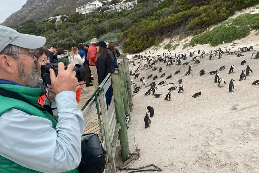 Cape Town Beach and Cape Point Tour