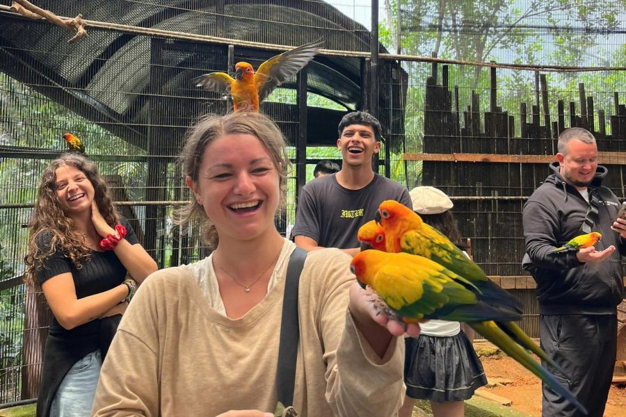 Dalat Afternoon Mongo Land & Mario Kart Adventure