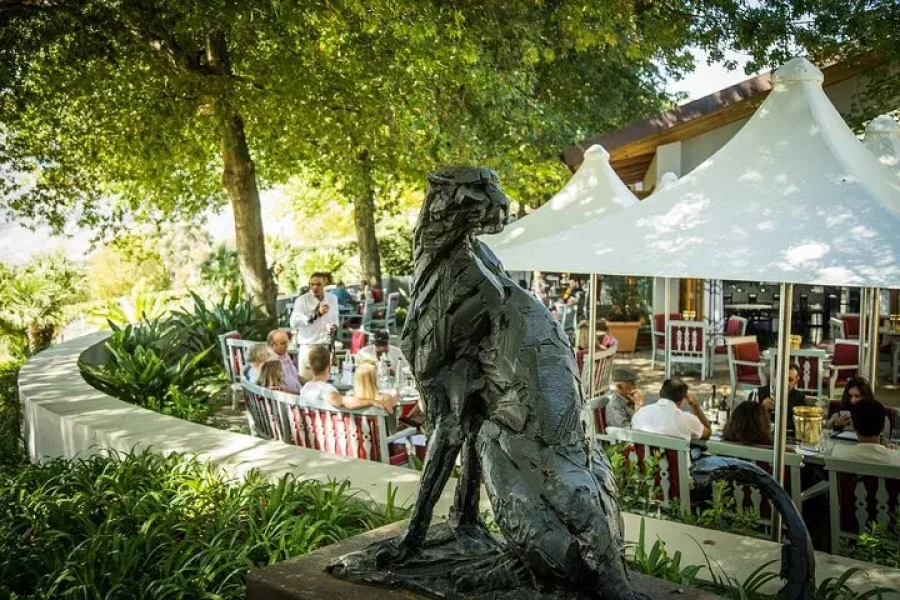 Full day Stellenbosch Private Wine Route Tour