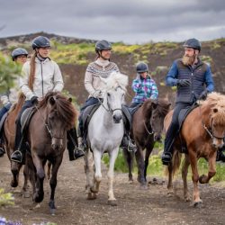 Iceland Viking Horses Riding Sleipnir Evening Tour