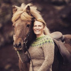 Private Iceland Horse Riding