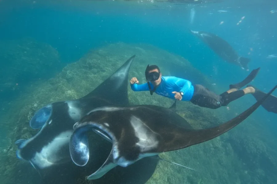 Snorkeling with Lembongan Tour From Penida with Buffet Lunch
