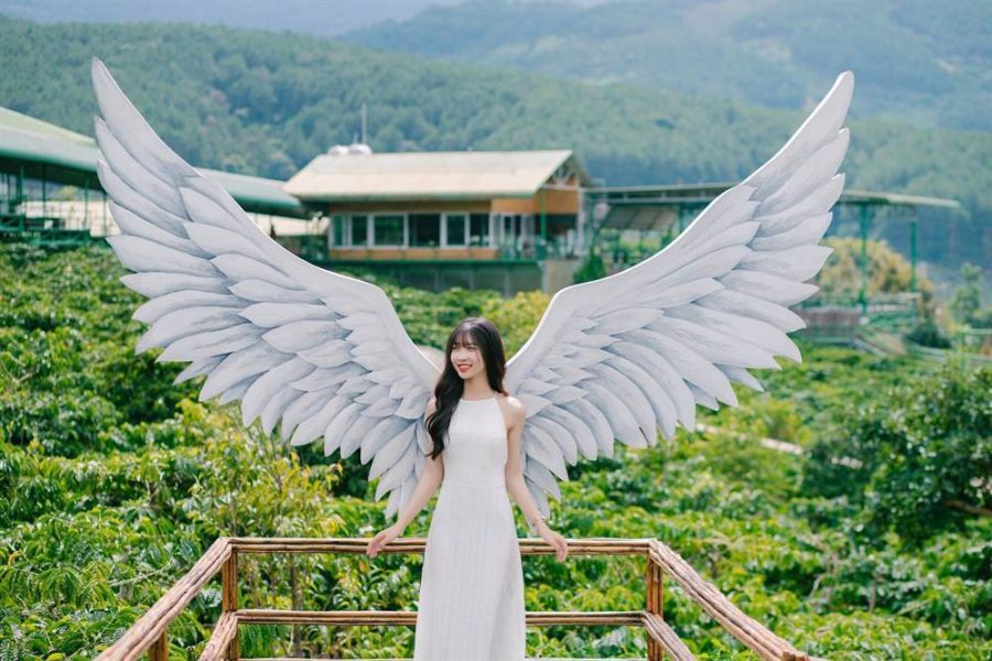 Ultimate Dalat Waterfalls Adventure Tour