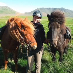 Whales & Horses Icelandic Wildlife Combo in Húsavík