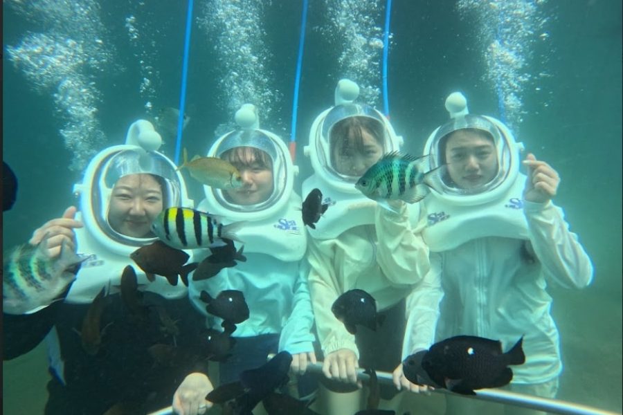 Cham Island Sea Trek and Snorkeling by Speedboat