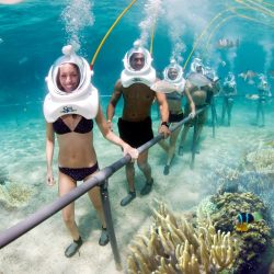 Cham Islands Snorkeling Tour by SpeedBoat from Da Nang